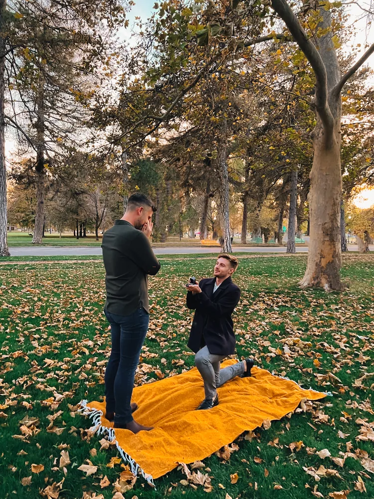 The proposal, November 2023